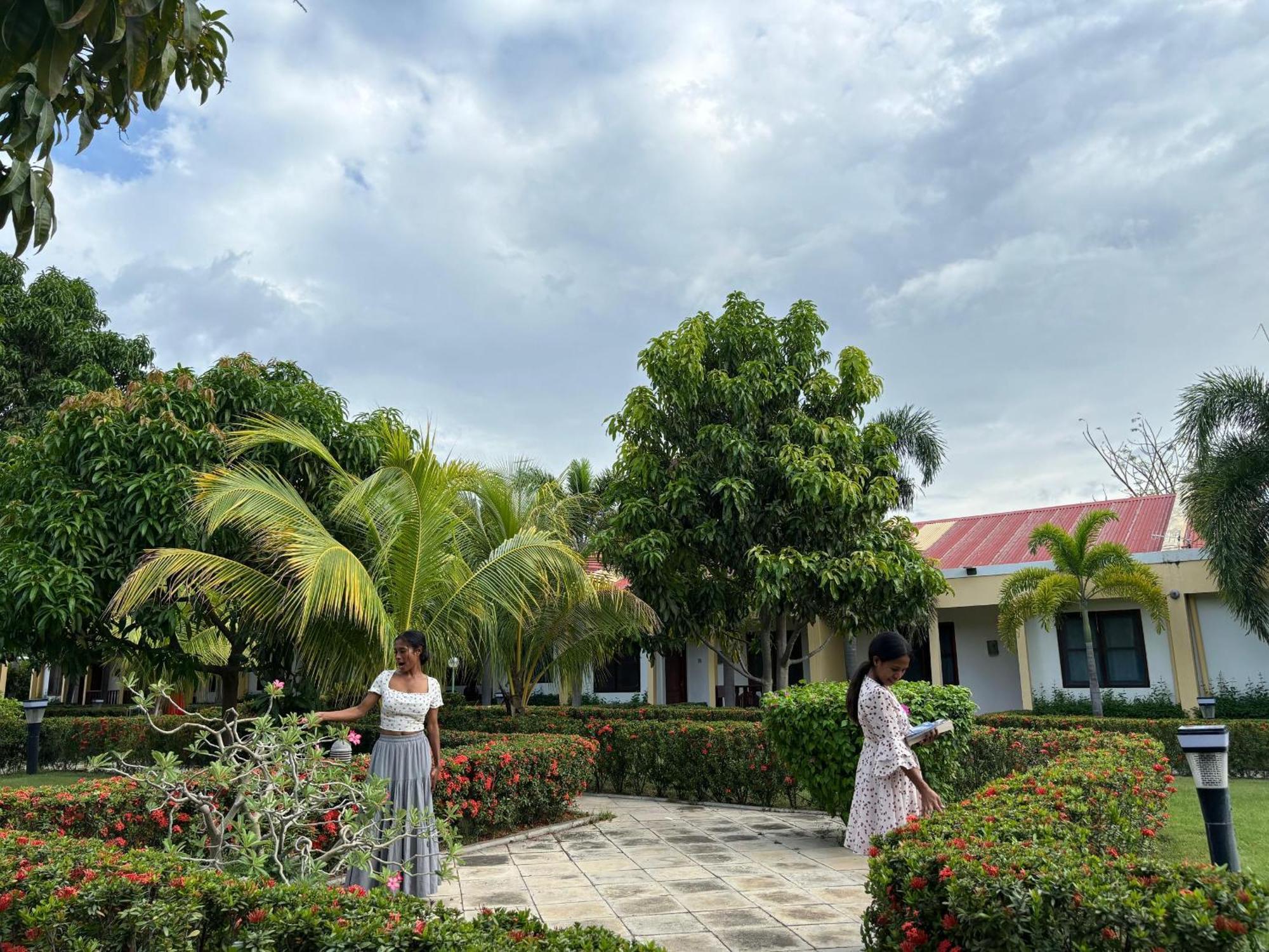 Palm Malinamoc Hotel Dili Kültér fotó