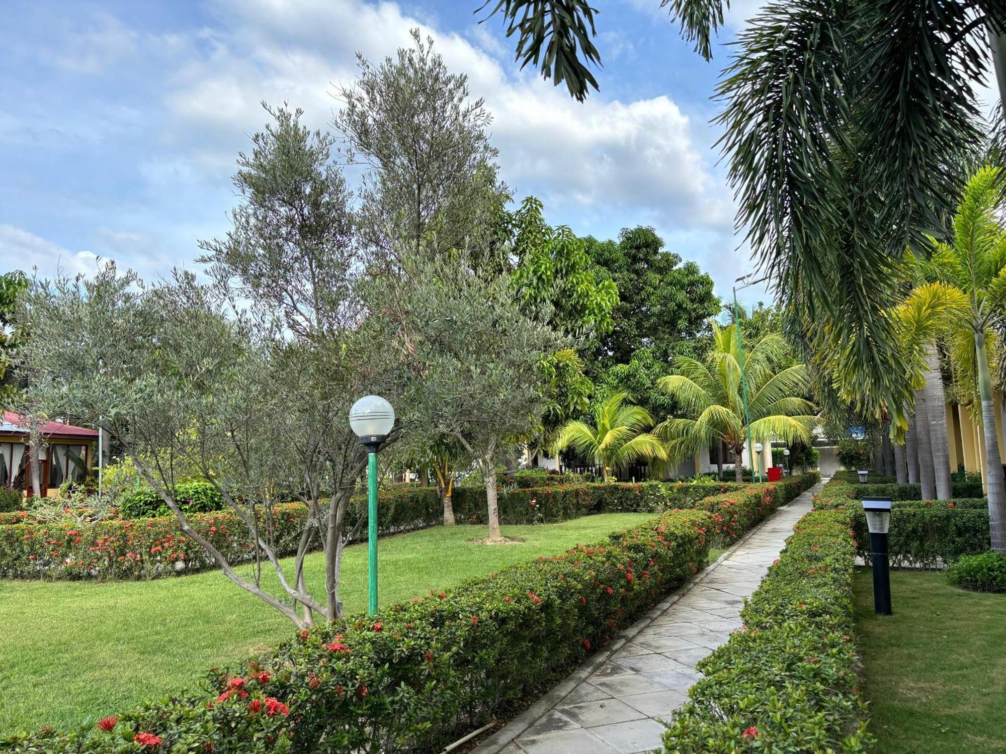 Palm Malinamoc Hotel Dili Kültér fotó